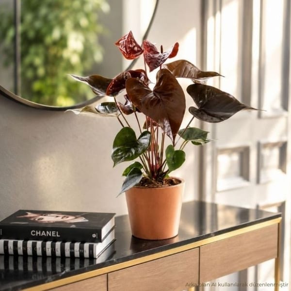 Dark Sienna Bronze — görsel 3